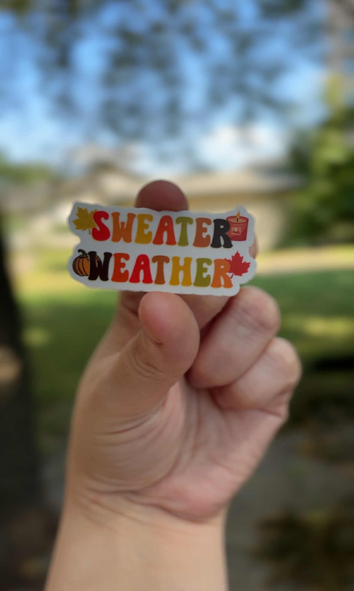 Happy Mail Club! (MONTHLY SUBSCRIPTION) (November Start)